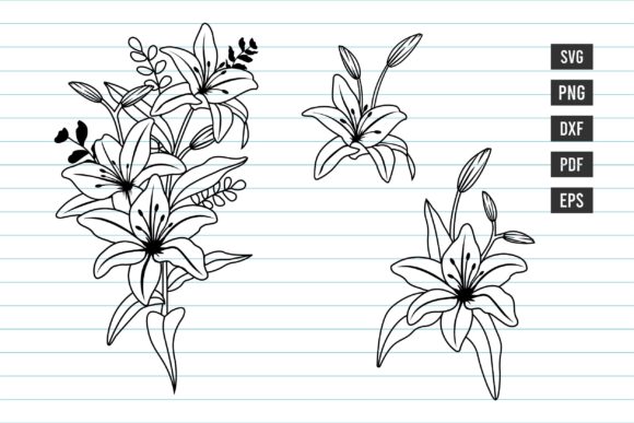 Download Lily Svg, Hand Drawn Flower Svg, Flower - Hand drawn flower svg Collection